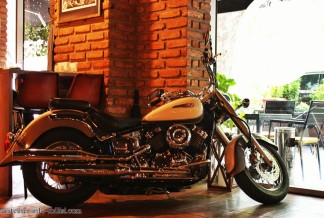 ვარშტაინერი